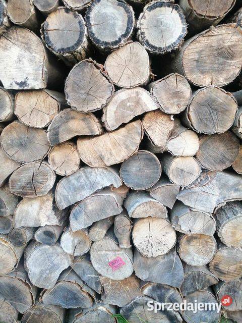 Drewno bukowe dobrze wysuszone Gdynia