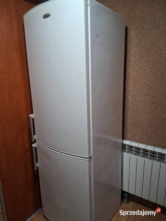 Lodówko zamrażarka wolnostojące Twardogóra