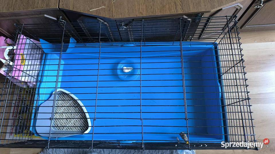 Duża klatka królika innego gryzonia 100 x 50 x Bydgoszcz