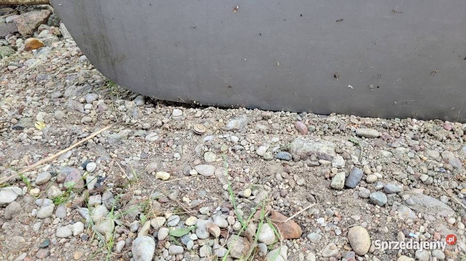 Drzwi Peugeot 206 osobowe Łagów