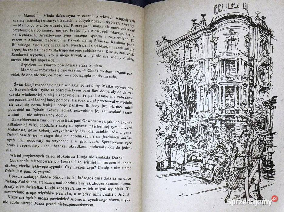 Sprawa honoru Maria Kann Chełm