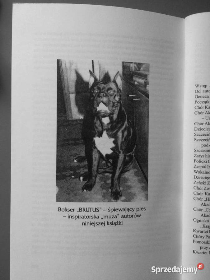 2839 Szczecińska Chóralistyka i Wokalistyka zachodniopomorskie Szczecin