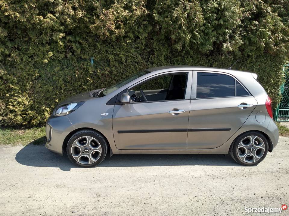 Kia Picanto 12 Business Line 2016 I właściciel serwisowany w ASO