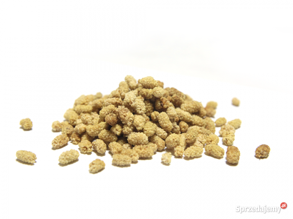 Morwa biała bez pestek 500g