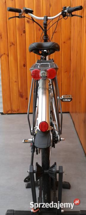 Rower elektryczny Flyer D 45 i inne rowery
