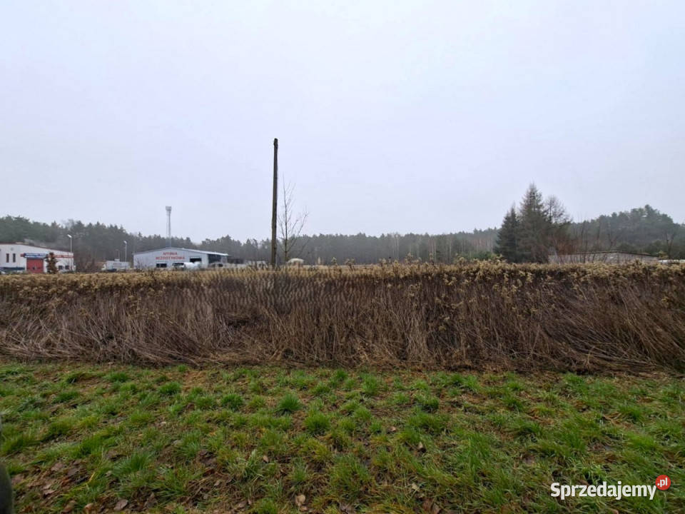 sprzedaży gruntu 2307m2 Głusko DużeKolonia telefon lubelskie Głusko Duże-Kolonia