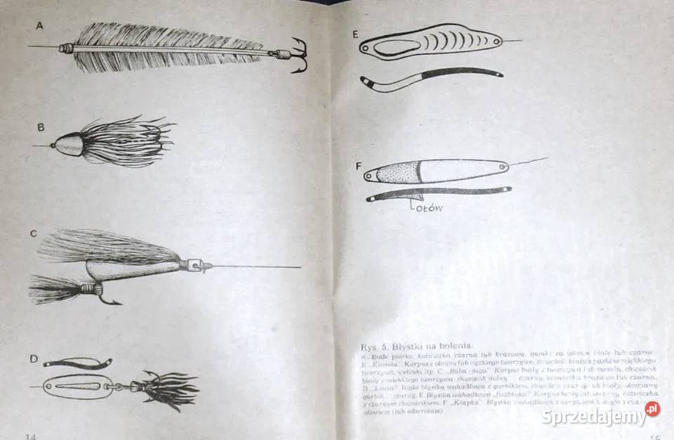 Z wędką na bolenia Sylwester Bajor Chełm