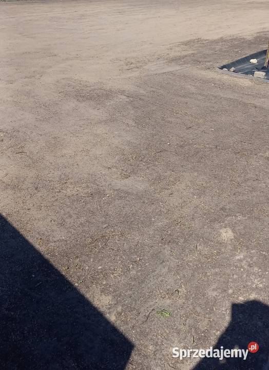Zakładanie trawnika siew trawy mikrokoniczyny Abramów