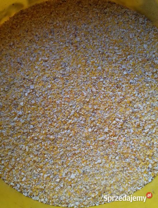 Śruta mieszanka kukurydziana pszeniczna