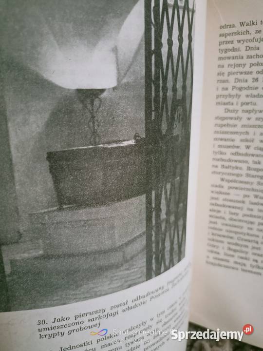 Szczecin miasto parków i zieleni Polskie Warszawa