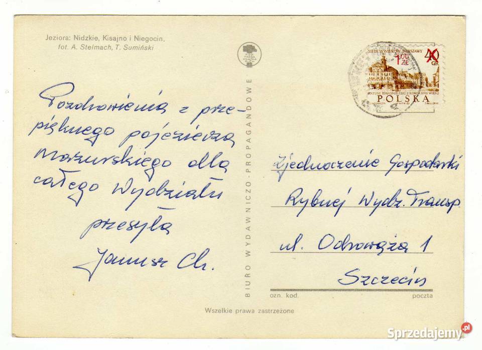 JEZIORO NIDZKIE KISAJNO NIEGOCIN Krynki sprzedam