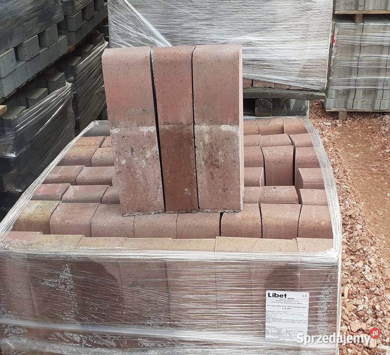 Palisada Kravento Alto Grande Libet II gatunek Wielogóra