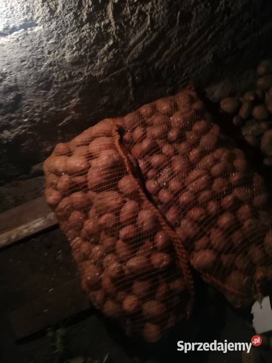 Ziemniaki podkarpackie Zarzecze