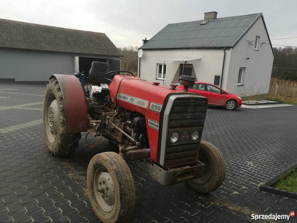 Sprzedam MF 255 sadowniczy Ciągniki sprzedam