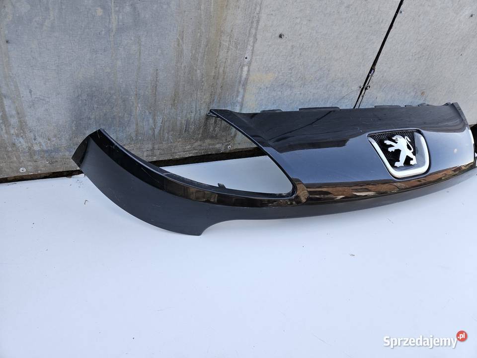PEUGEOT 1007 GRILL ATRAPA ZDERZAK PRZÓD PRZEDNI osobowe wielkopolskie Międzychód