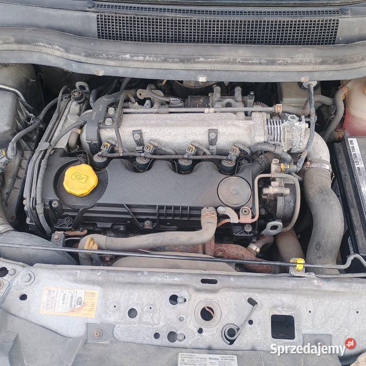 Opel Zafira 7io Osobowy Sprzedaz Zamiana Bychawa