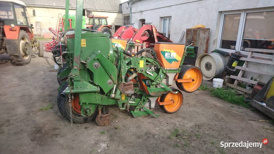 Siewnik do kukurydzy amazone ED 451 kujawsko-pomorskie Wąbrzeźno