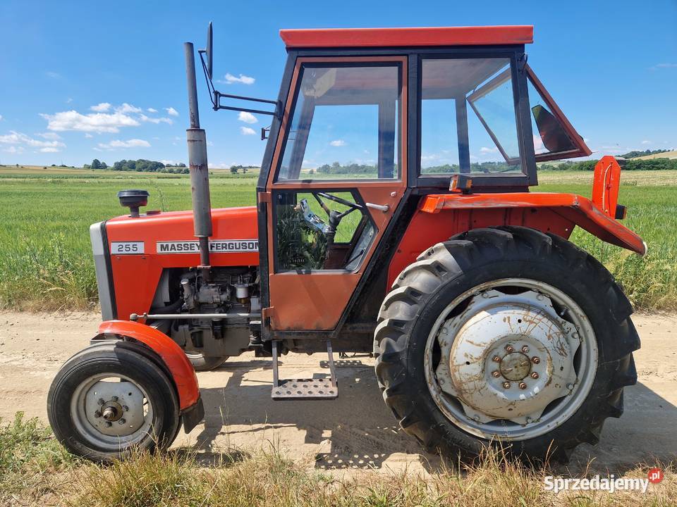 Traktor MF 255 nie pracował w polu był jako TAXI Wolbrom