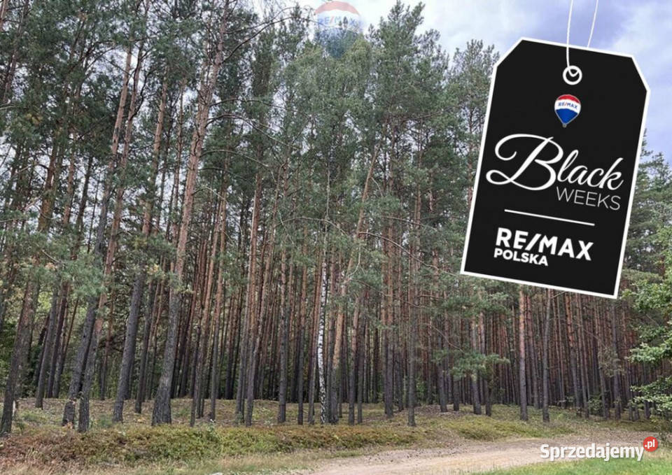 Działka rolna z samosiejkami polna