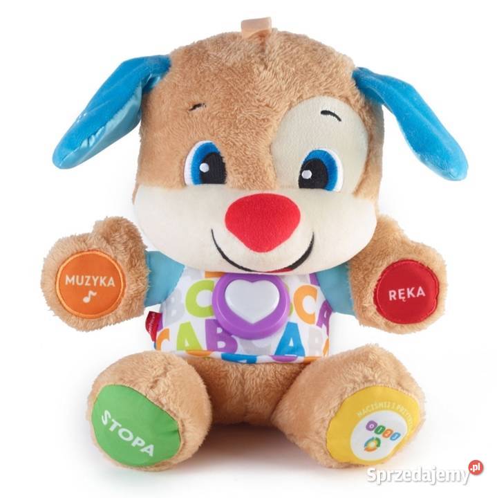 Szczeniaczek uczniaczek pomorskie Gdańsk