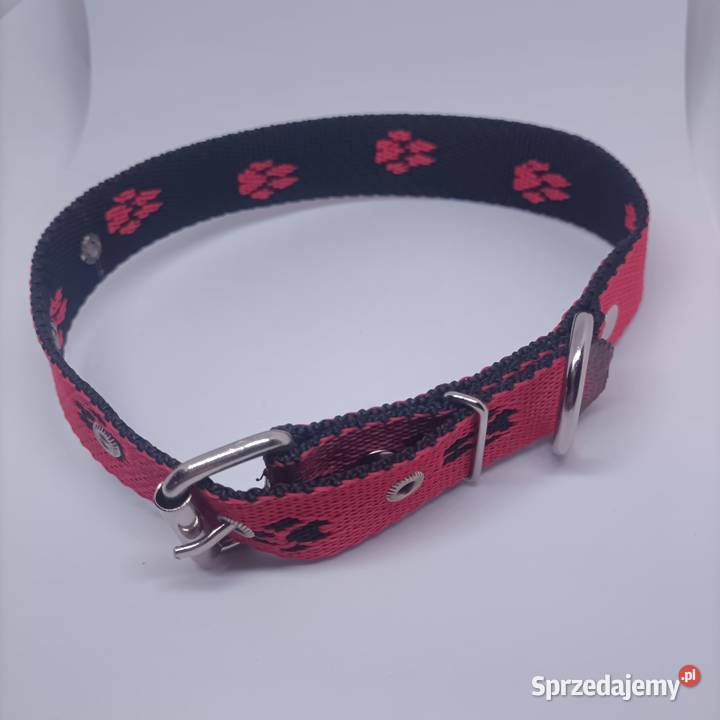 Obroża psa 25mm75 lubuskie Gorzów Wielkopolski