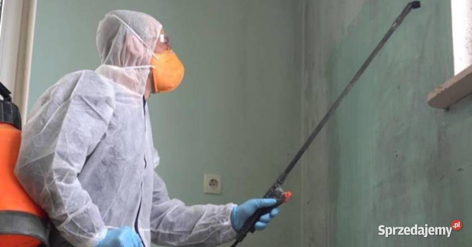 Dezynfekcja pomieszczeń zwalczanie szkodników Łódź ogród