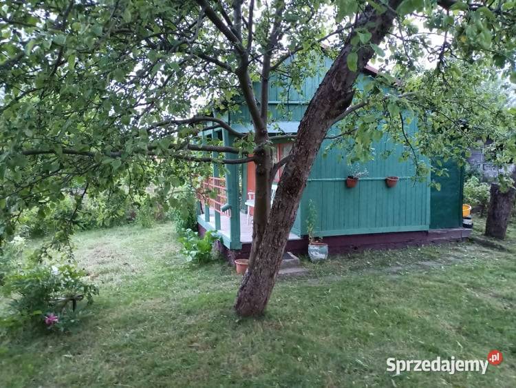 Działka ogrodowa SZAROTKA Ełk