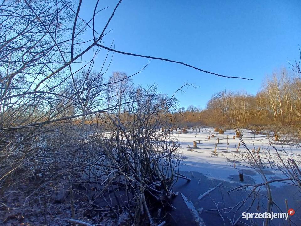 Działka z własnym jeziorem Krągłe sprzedam