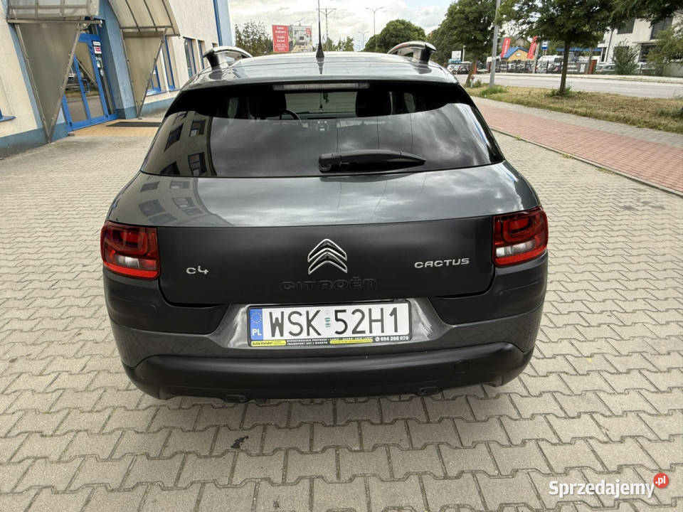 Citroen C4 Cactus Citroen C4 Cactus 16HDi 2015 mazowieckie Sokołów Podlaski