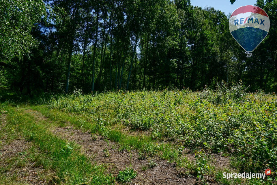 Działka budowlana 1002m2 Grądy k Żyrardowa budowlana mazowieckie