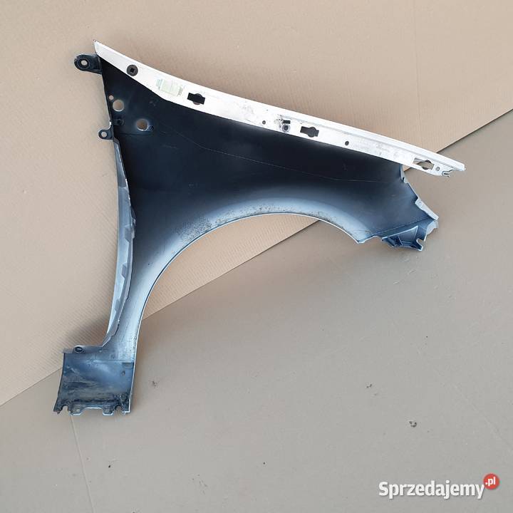 REANULT CLIO III 3 BŁOTNIK LEWY 8200256117 Karoseria Trzciel