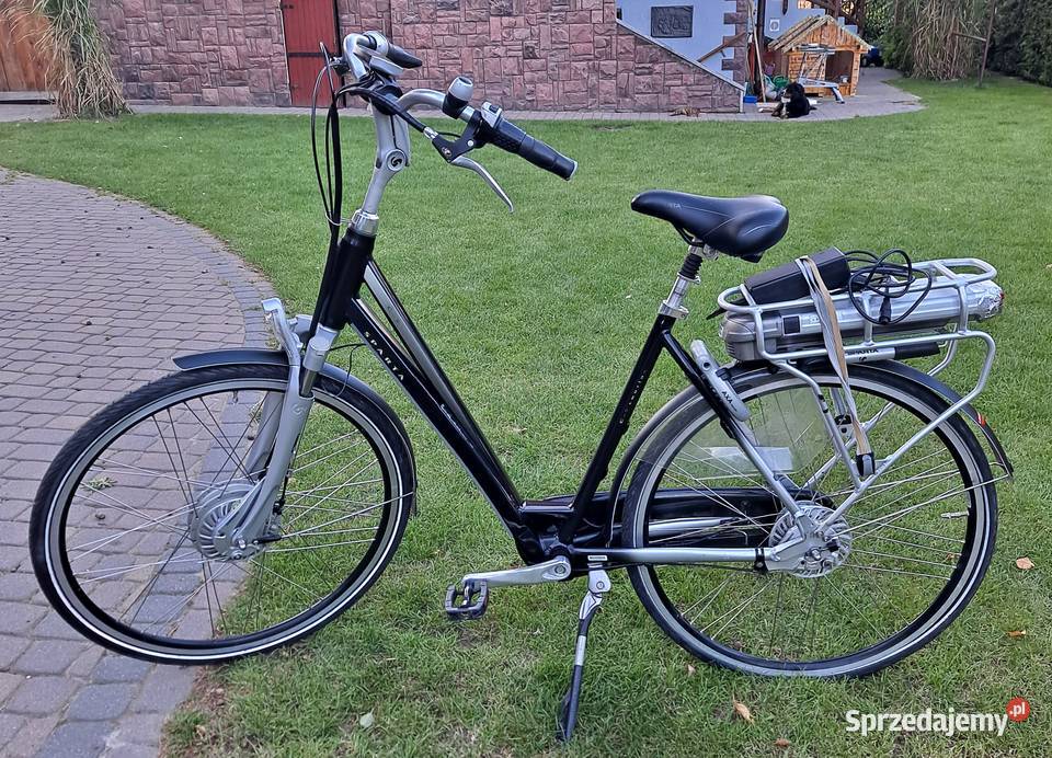 Damka elektryczna sparta Elektryczne opolskie Namysłów