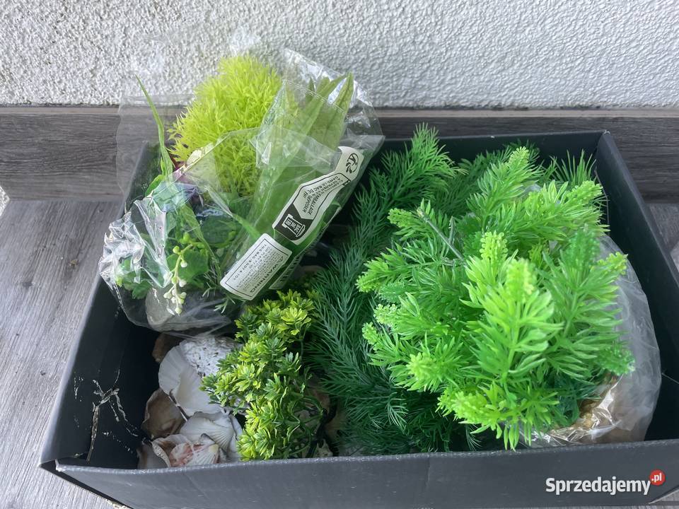 Akwarium 10l Gdańsk sprzedam