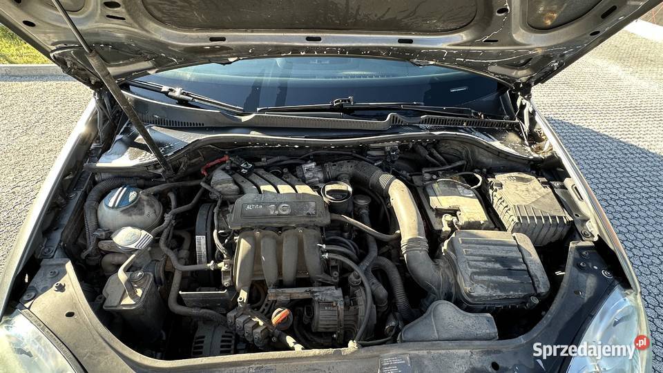 Volkswagen Golf V BG Stag Czechowice-Dziedzice