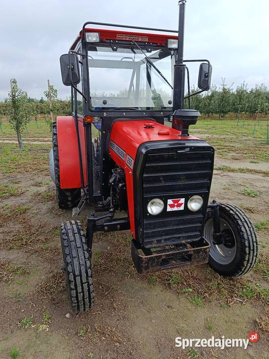 MF Massey Ferguson 255 sadowniczy 3502 Skrzynia biegów Manualna Goszczyn