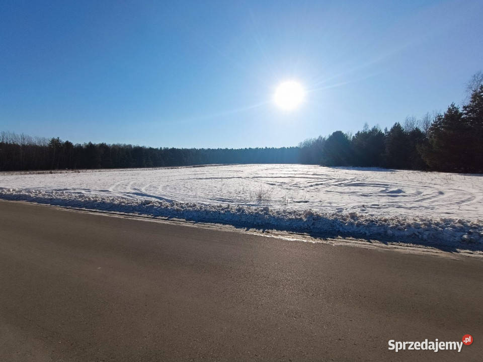 Sprzedaż gruntu Daleszyce 23170m2 telefon sprzedam