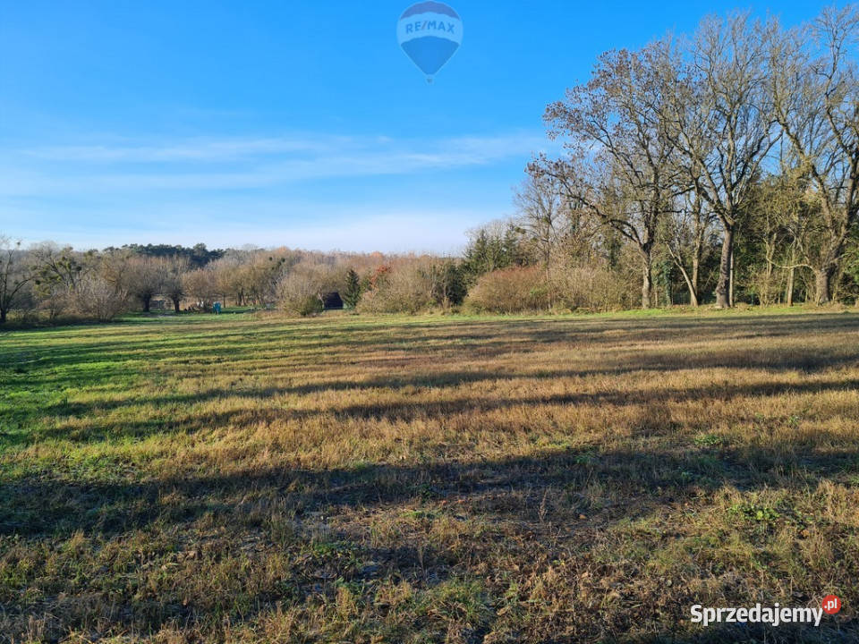 Wiosenna promocja cenowa Z widokiem na Wartę WZ wielkopolskie
