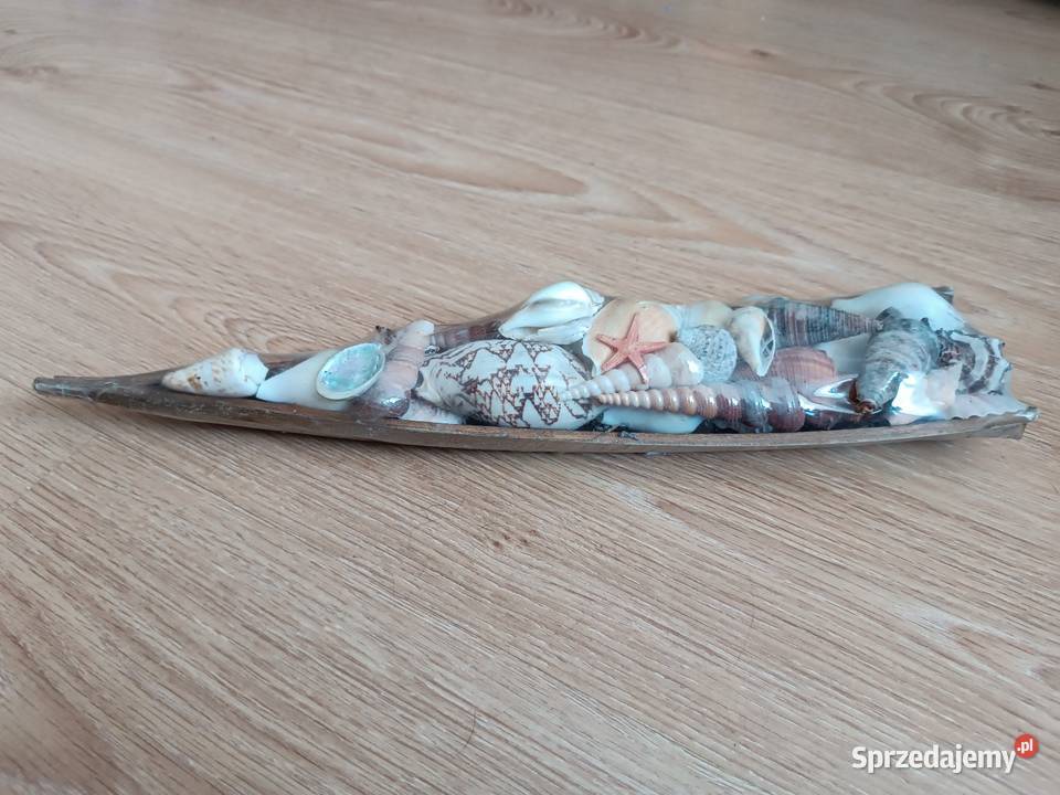 Muszle muszelki ozdoba morska NOWA Oryginalnie