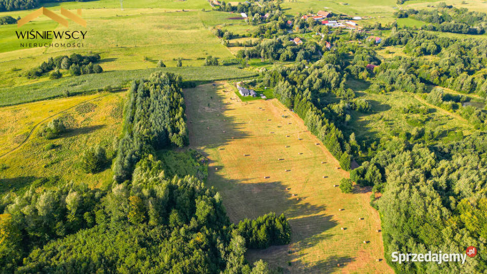 Działka 1291 m z WZ wśród natury Rogowo