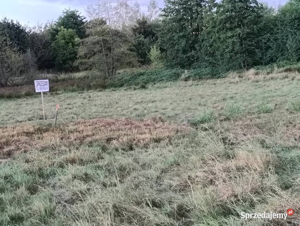 Pole łąka Opole Chmielowice