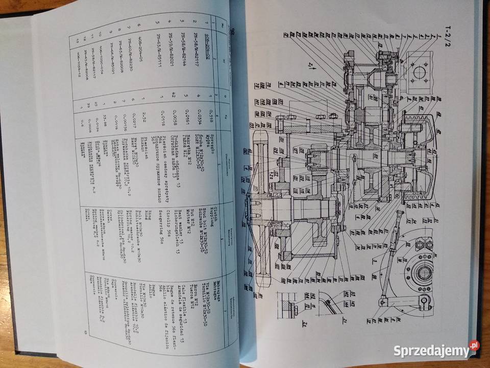 Waryński k408 Błotniak warmińsko-mazurskie Złotnica