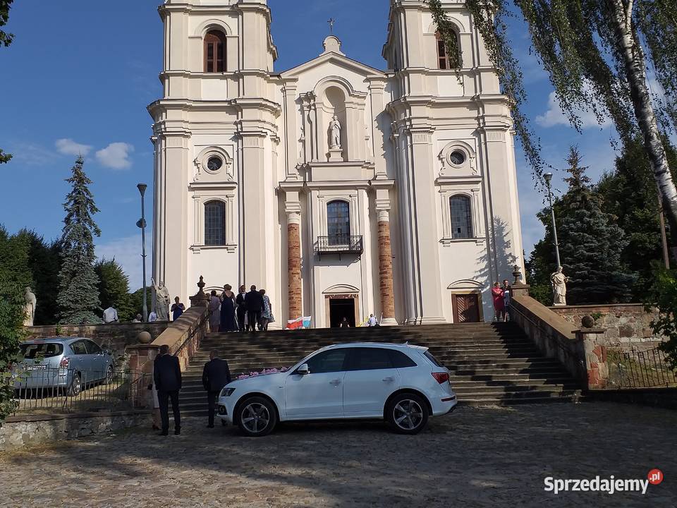 auto samochod do slubu wesela biale audiq5 Sandomierz