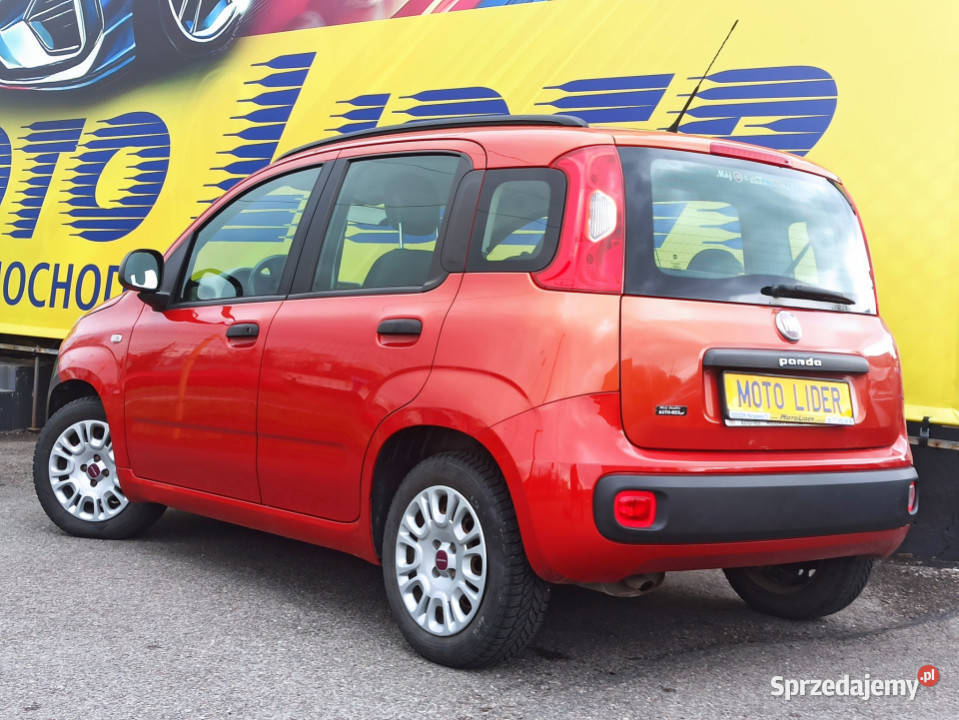 salon I właściciel bezwypadkowy Rzeszów