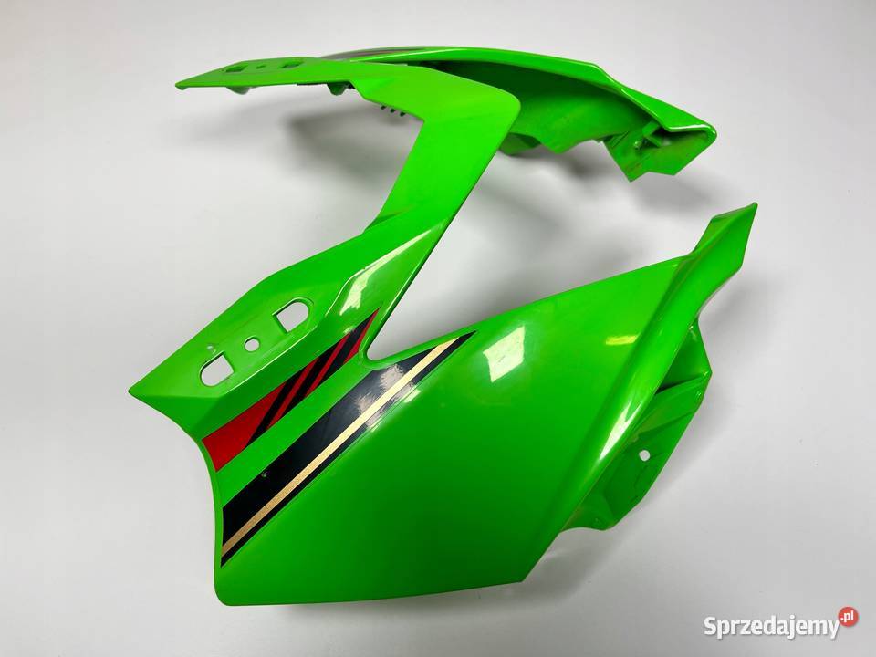 KAWASAKI Ninja 125 19 Czasza Czaszka Owiewka Łobżenica