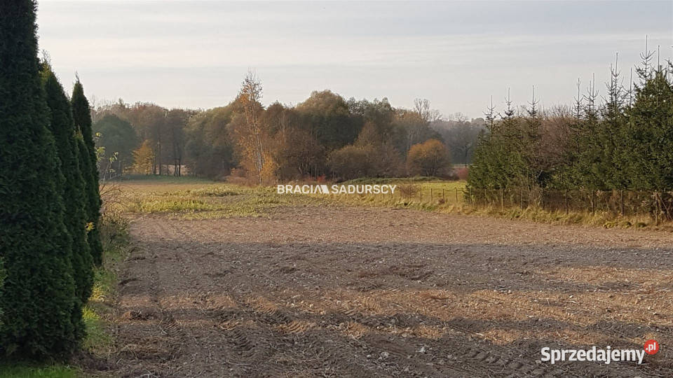 Sprzedaż działki Maszków 8580m2 8580m2 małopolskie