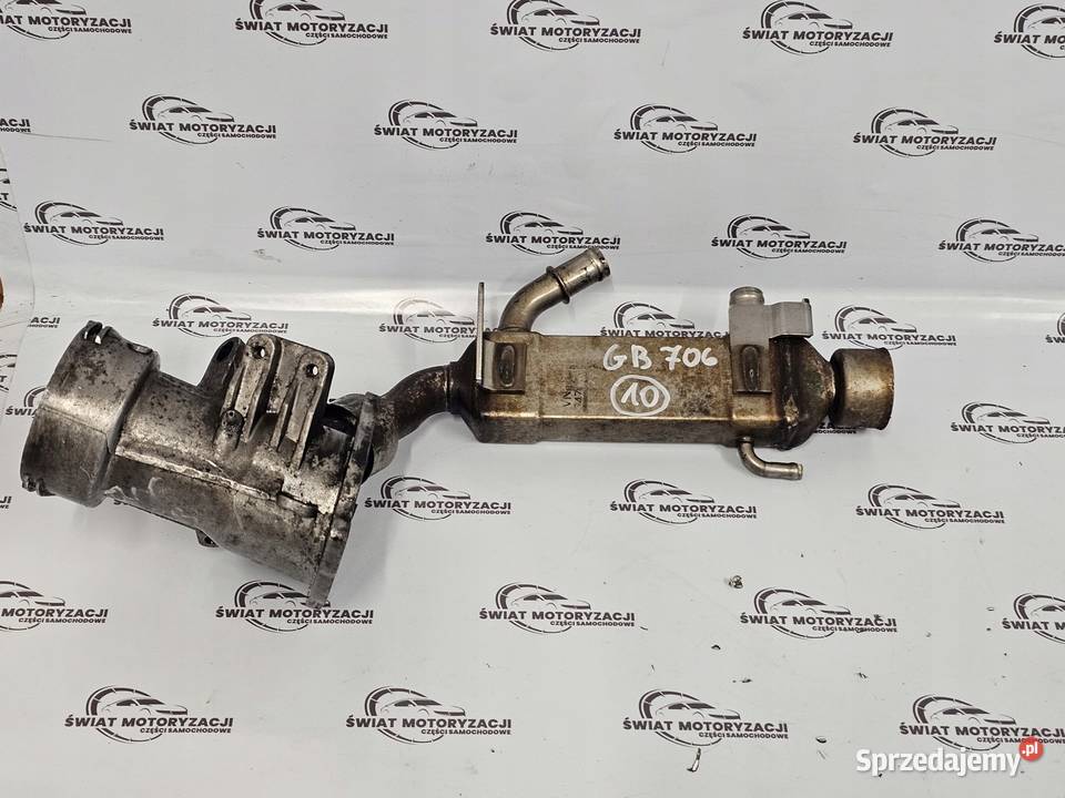 Mercedes E 22 CDI 646961 646961 150 chłodniczka świętokrzyskie Kielce