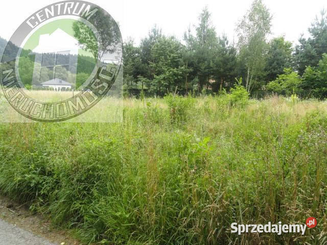 Grunt 1200m2 Nowy Sącz Sprzedaż