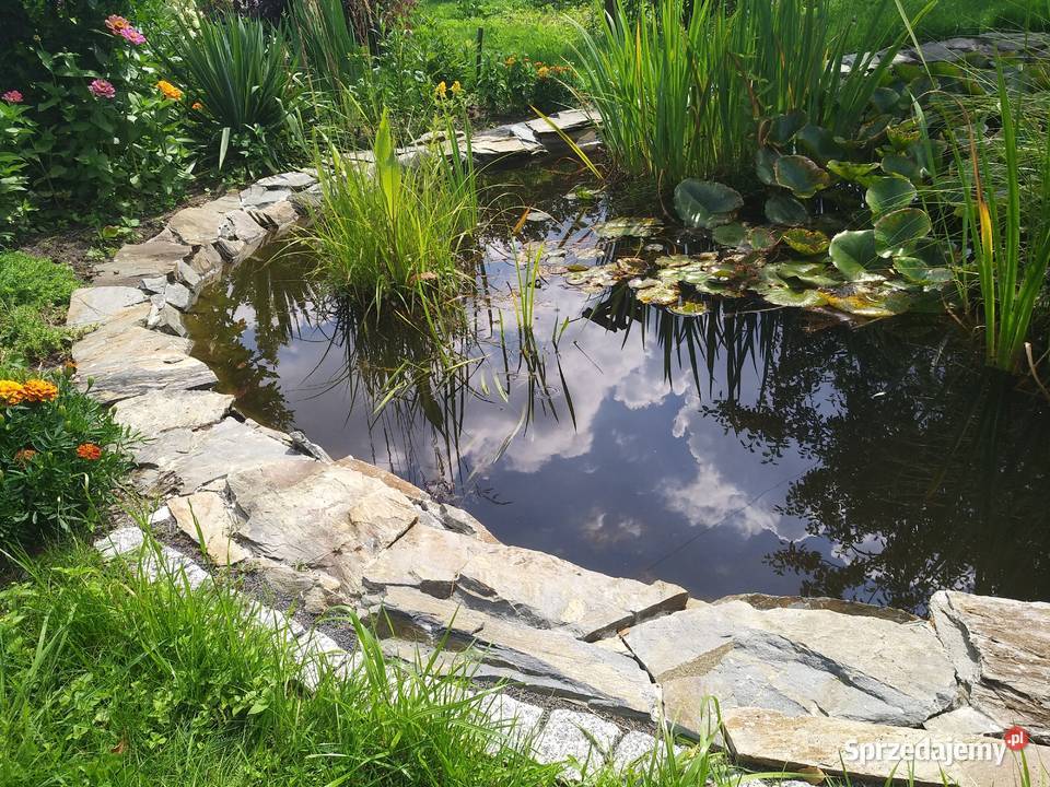 łupek na murki ogrodowe Księżyce