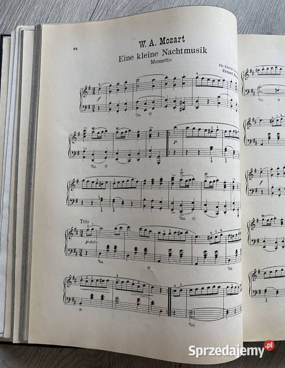 Sang und Klang nuty Łódź sprzedam