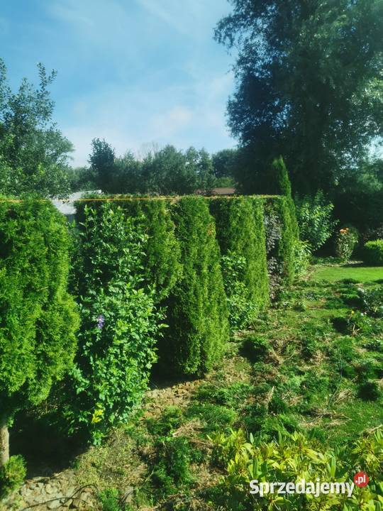 Prace Ogrodowe dolnośląskie